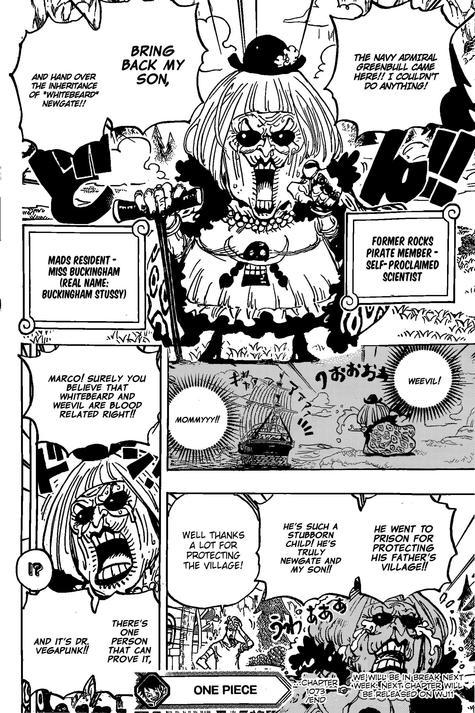 One Piece Chapter 1072.1 15